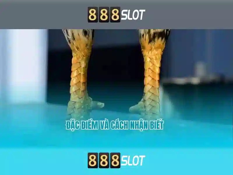 Trải nghiệm Slot 888slot Com Apk