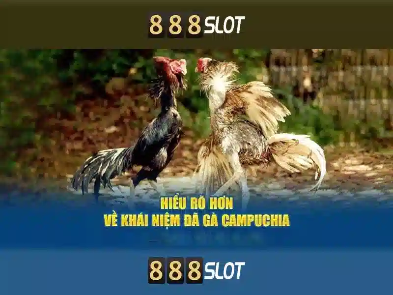 Freebet 888slot