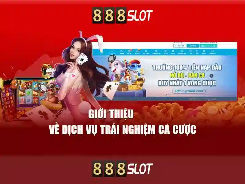 ưu đãi 2026
