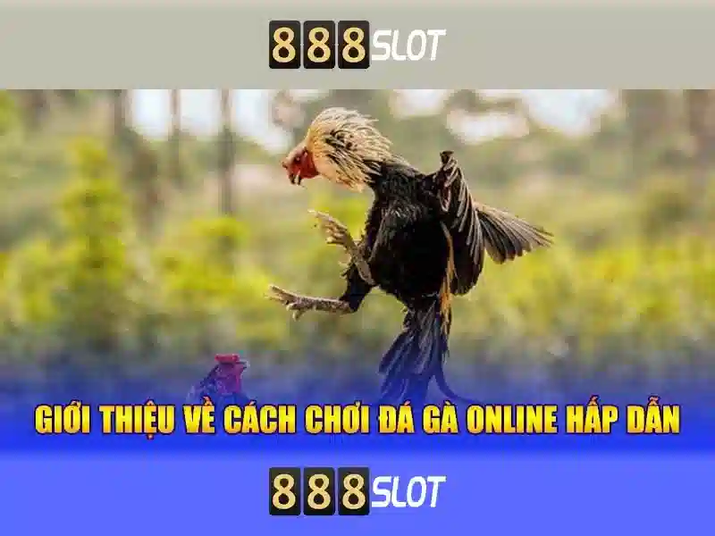 888SLOT – Trải Nghiệm Slot Vn 888slot Đỉnh Cao 2026