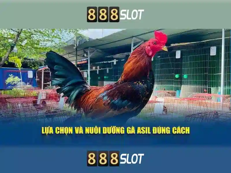 Ưu Điểm Nổi Bật Của Chơi Slot 888SLOT