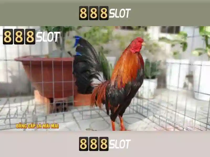 Kho Trò Chơi Slot