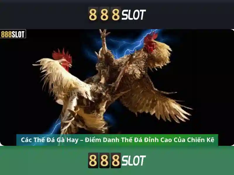 Ưu Đãi Slot 888slot Com Apk