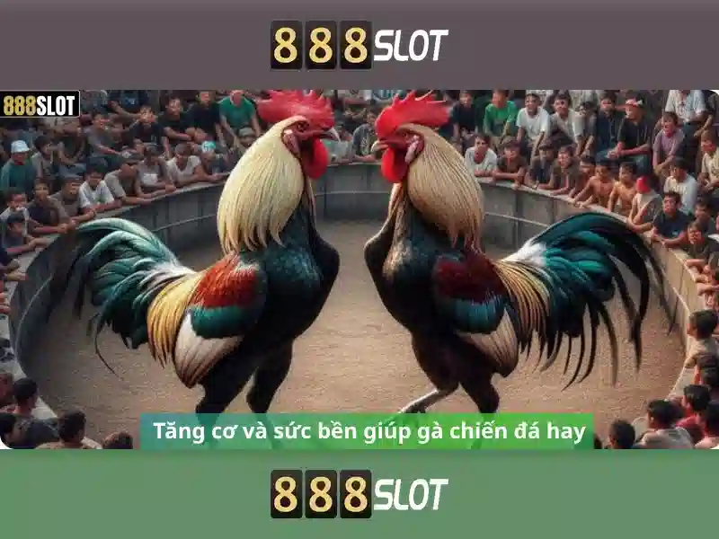 Trải nghiệm game slot 888SLOT