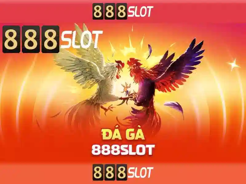 TỔNG HỢP 888SLOT – HỖ TRỢ CƠ SỞ DỮ LIỆU CHUYÊN NGHIỆP