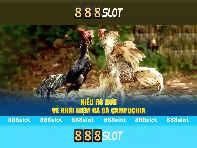 888SLOT – Tải 888slot APK Miễn Phí, Trải Nghiệm Slot Đỉnh Cao 2026