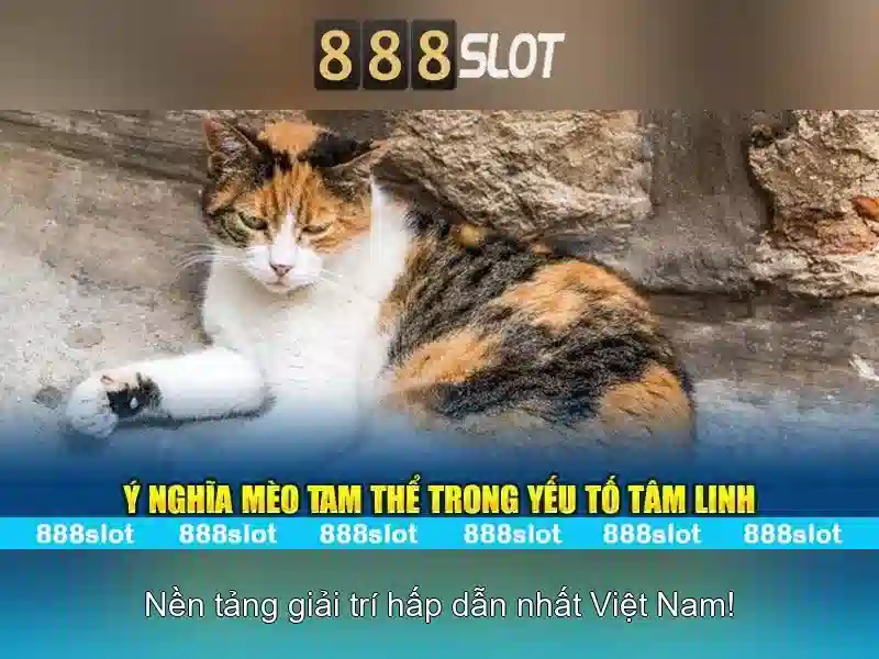 Khuyến mãi đặc biệt cho slot365