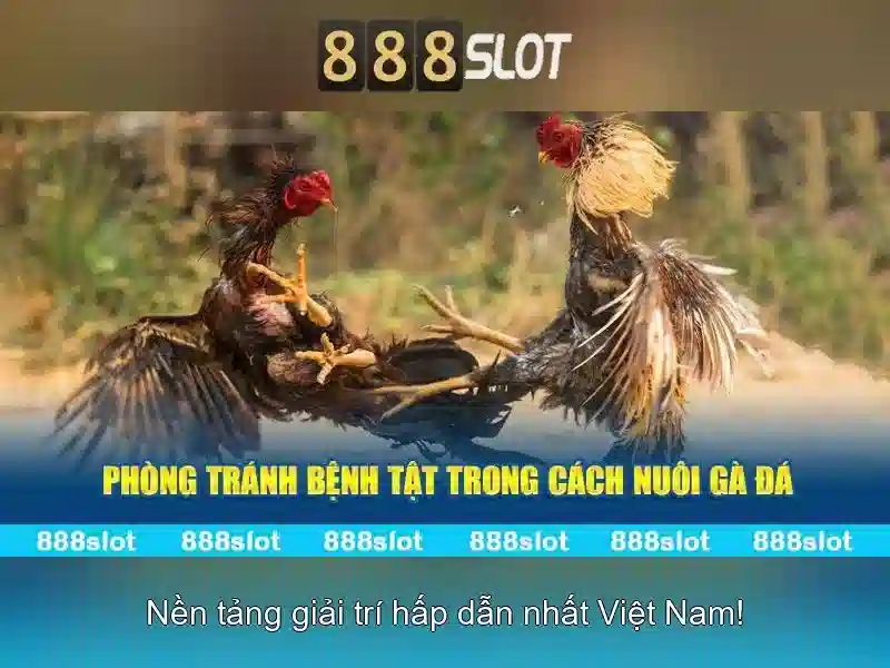 Khám phá thế giới cá cược trực tuyến tại 888SLOT