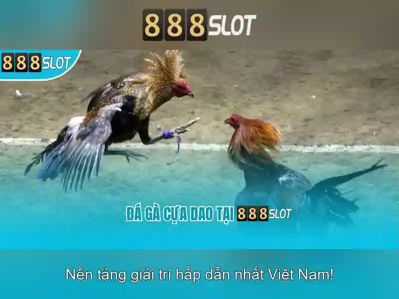 888SLOT – Trang Chủ 888slot Link Chính Thức 2026