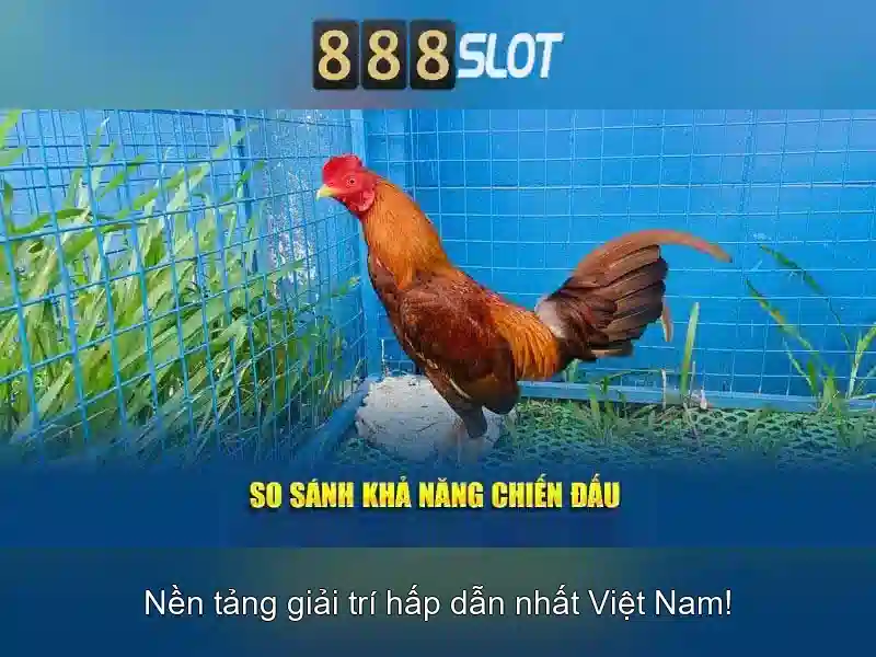 888SLOT - Code 888slot Trực Tuyến Thú Vị Nhận Thưởng Hấp Dẫn - Copyright © 2026